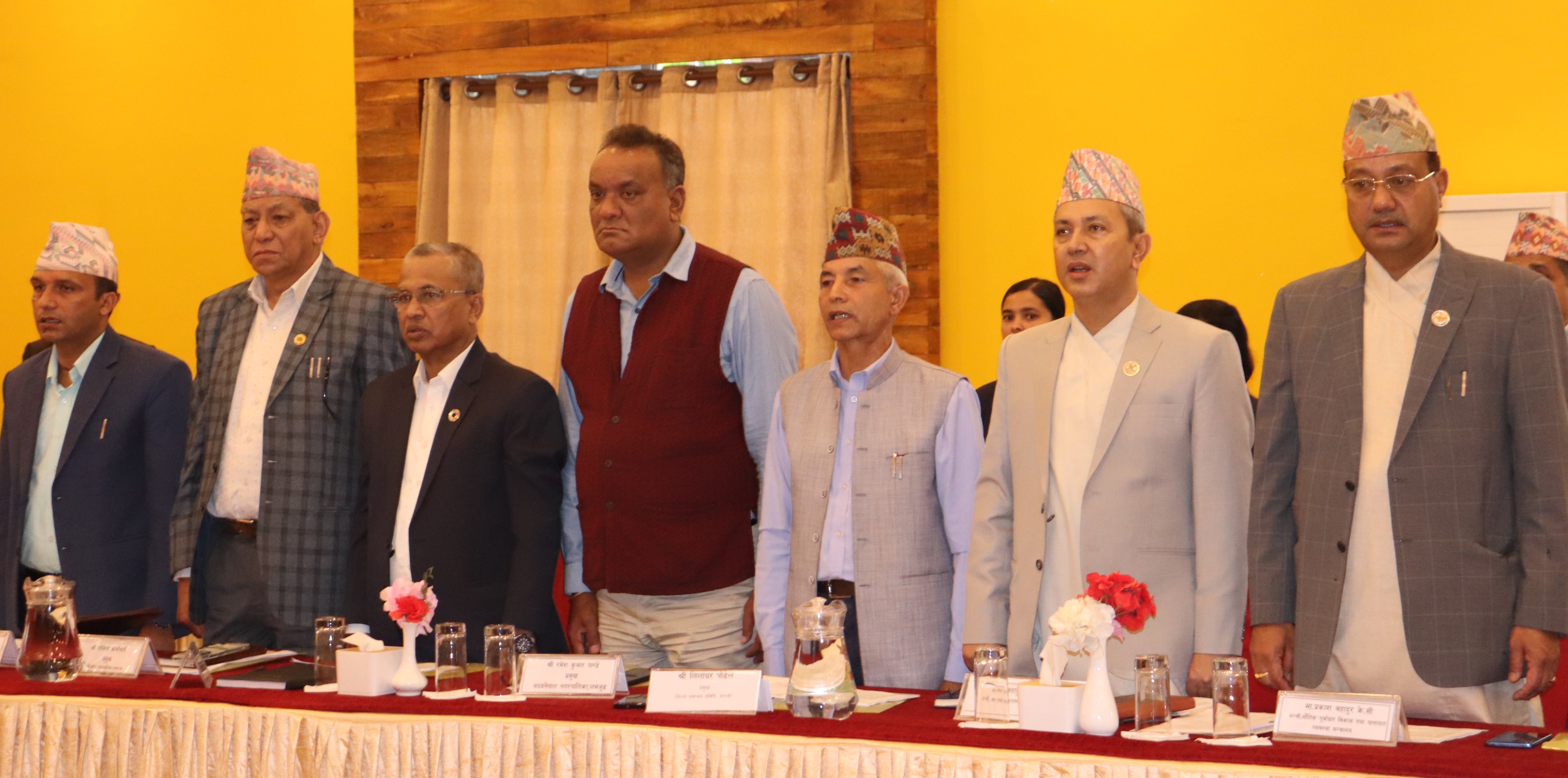एघारौ प्रदेश विकास समस्या समाधान समितिका बैठक (मिति: २०८१/१२/२८)